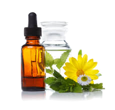 Bach Flower Remedies